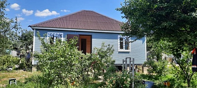 Медведица 9x9 Волчанский